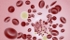 Globuli rossi del sangue visti al microscopio
