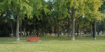Parco cittadino