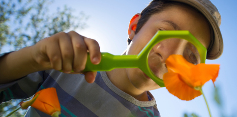 Bambino osserva un fiore con una lente di ingrandimento