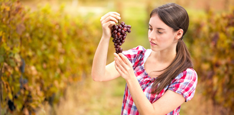 Giovane ragazza tiene un grappolo d'uva in mano