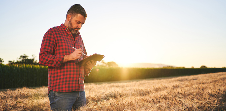 Agricoltore in un campo di grano con tablet