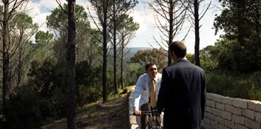 Meeting of professionals under the trees of the Park