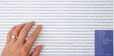 DNA sequence analysis