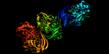 Modellazione di proteine