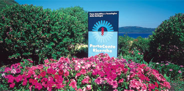 Entrance to the Alghero centre, Technology Park of Sardinia