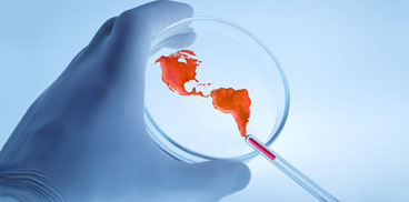 A Petri dish and an outline of the American continent