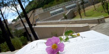 A flower on an opened book with the Technology Park in the background