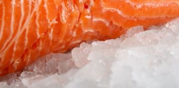 Filetto di salmone su un letto di ghiaccio