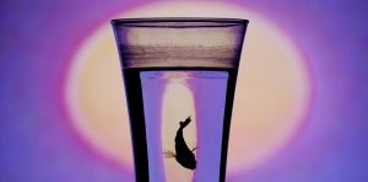 Un pesciolino nuota in un bicchiere con uno sfondo colorato
