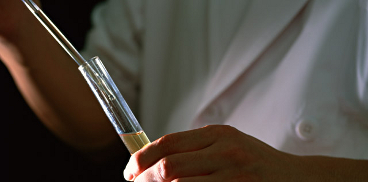 Biologa aspira liquido da una provetta con una pipetta
