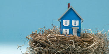 Modellino di casa dentro un nido