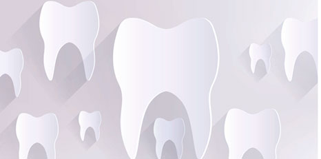 Illustrazione di denti