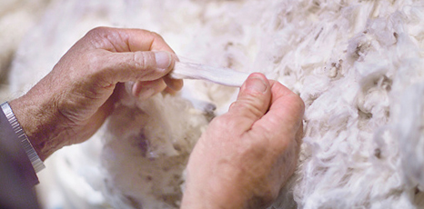 Persona lavora la lana di pecora