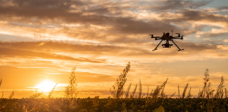Drone su un campo coltivato